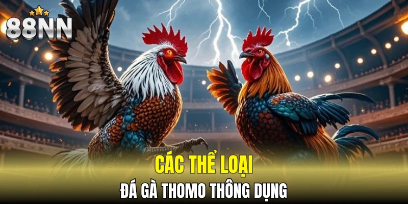 Đá Gà Đòn - Hình Thức Đà Gà Độc Đáo Theo Thời Gian 6 Các thể loại đá gà Thomo thông dụng
