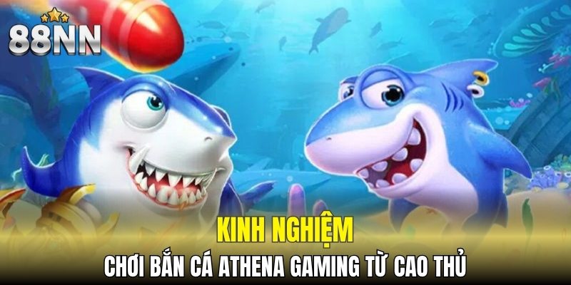 Kinh nghiệm chơi bắn cá Athena Gaming từ cao thủ