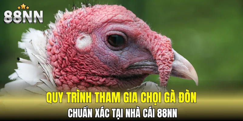Đá Gà Thomo, Đấu Trường Thắng Lớn, Bắt Trọn Vận May 6 Quá trình phân chia hạng gà được kiểm tra nghiêm ngặt