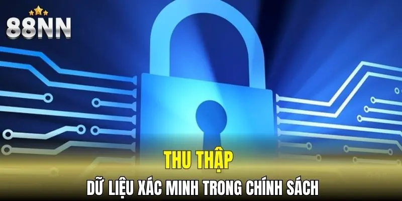 Thu thập dữ liệu xác minh trong chính sách